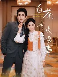 《白茶清欢无别事》：淡雅水墨风，一场关于人生的禅意修行